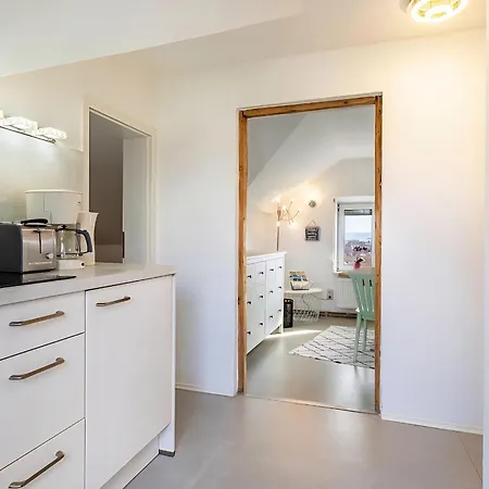 Blick Ueber - Terrasse - 3 - Modern Renoviert アパート ドレスデン